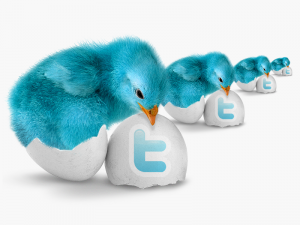 huevotwitter