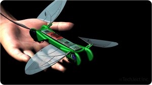 Dragon Fly