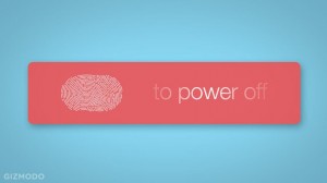 Fingerprint