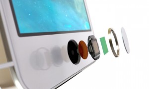 AppleFingerprint