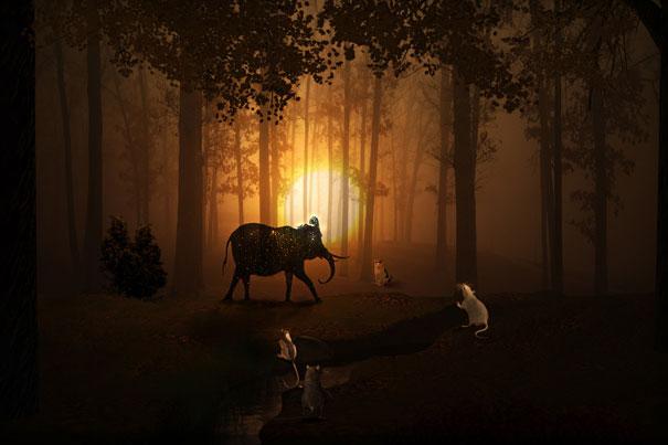 Interesting-Facts-about-Dreams-elephant