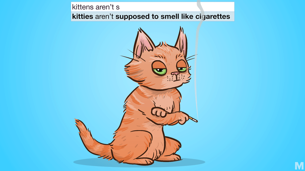 Kitty