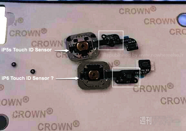 ip6-touchid-1