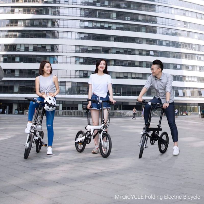 Xiaomi Mi QiCYCLE (1)