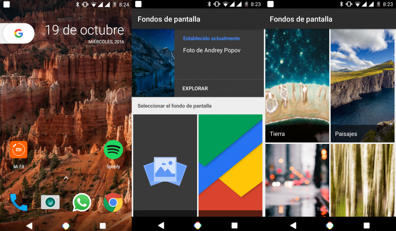 google-wall