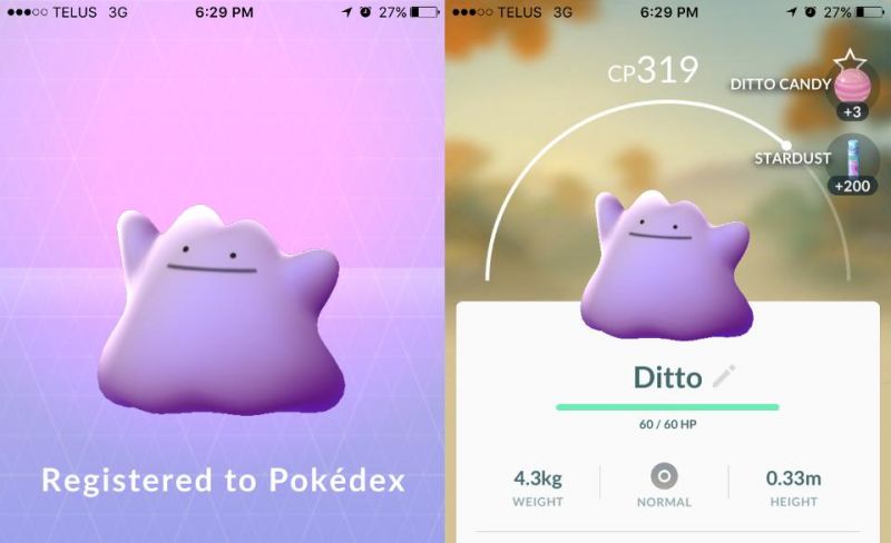 ditto-caught1