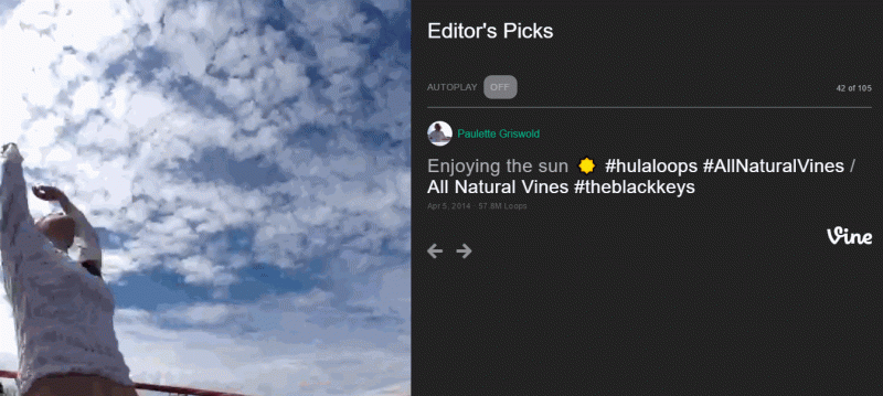 vine-search